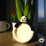 Panda Felt Coasters-Needle Felt Creation