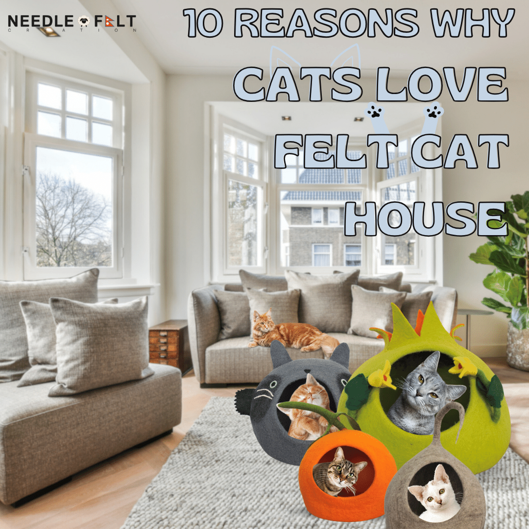 10 Reasons Why Cats Love Felt Cat house