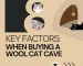 Want-to-Buy-Wool-Cat-Cave-Consider-these-Factors-First-Needle-Felt-Creation.webp