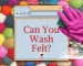 can you wash felt - Needle Felt creation