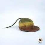 acorn felt hat