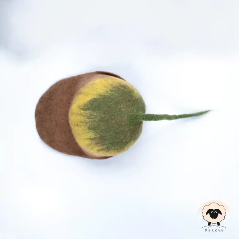 acorn felt hat 2