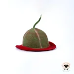 watermelon felt hat